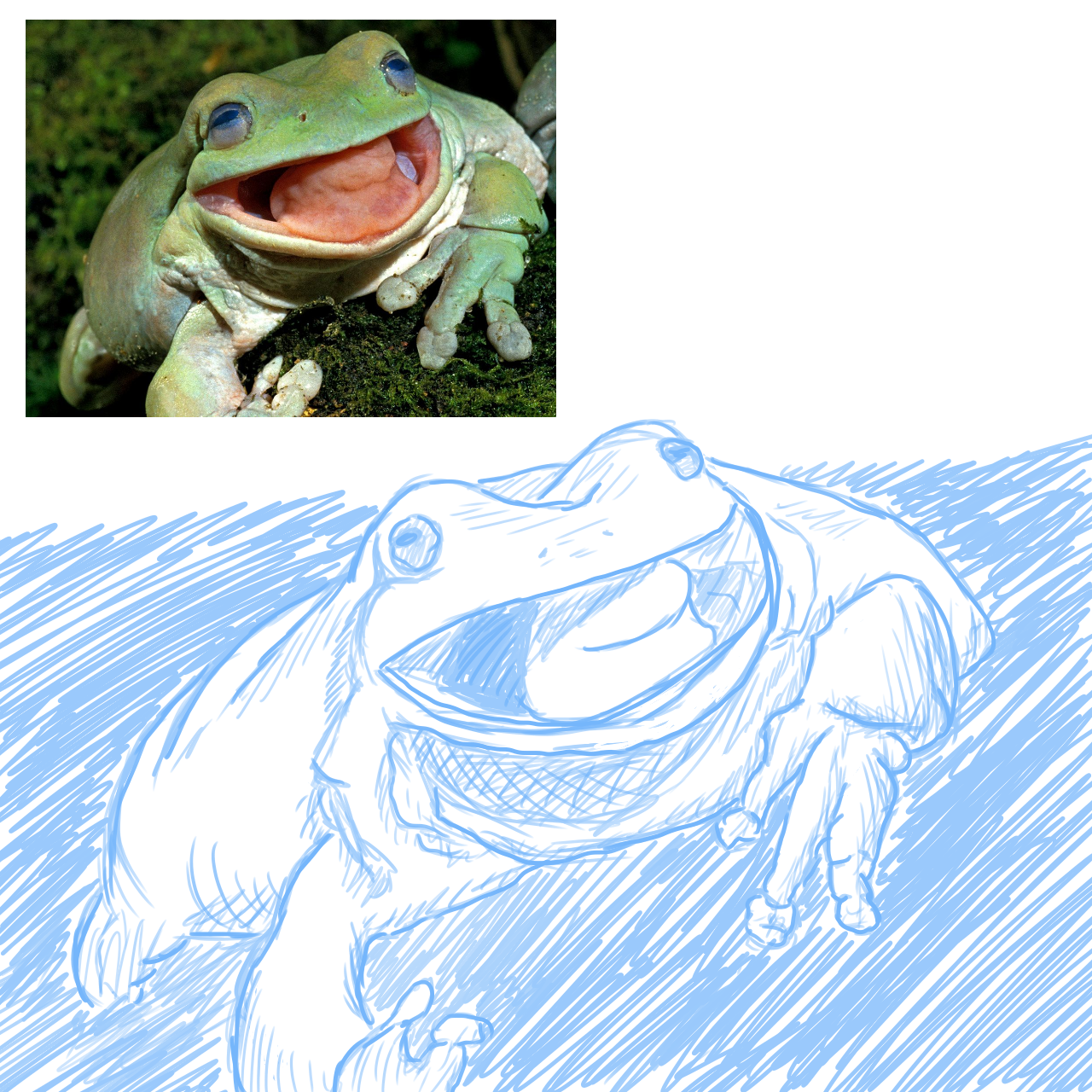 Sketches